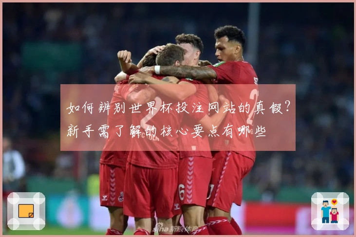 如何辨别世界杯投注网站的真假？新手需了解的核心要点有哪些