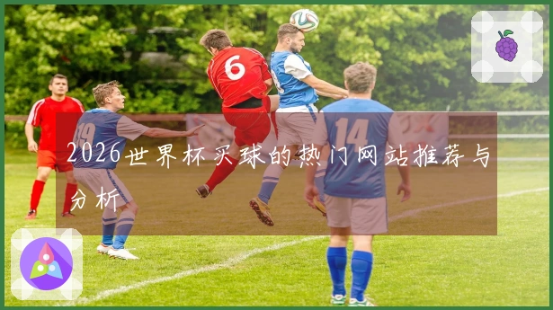2026世界杯买球的热门网站推荐与分析