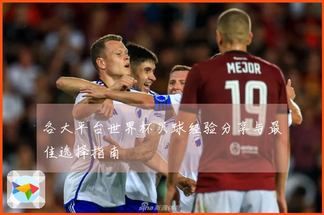 各大平台世界杯买球经验分享与最佳选择指南