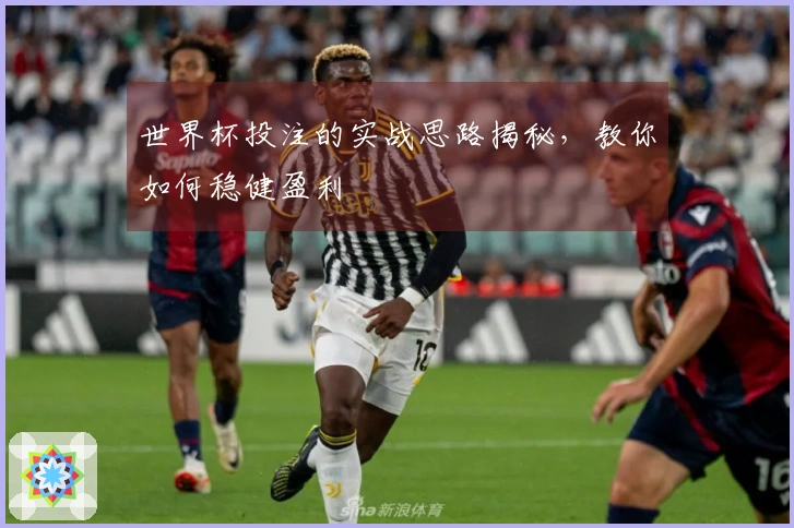 世界杯投注的实战思路揭秘，教你如何稳健盈利