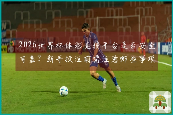 2026世界杯体彩竞猜平台是否安全可靠？新手投注前需注意哪些事项