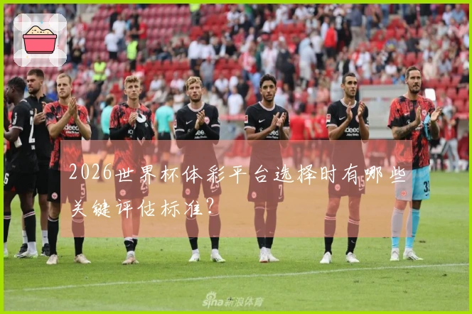 2026世界杯体彩平台选择时有哪些关键评估标准？