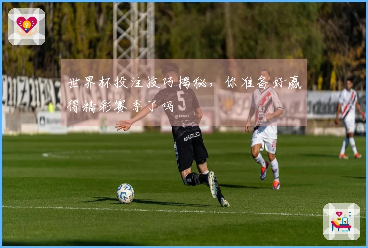 世界杯投注技巧揭秘,你准备好赢得精彩赛季了吗