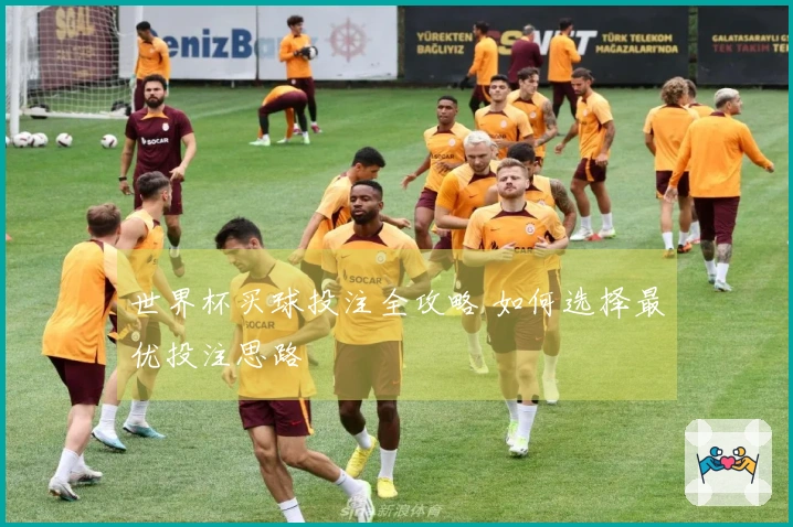 世界杯买球投注全攻略 如何选择最优投注思路