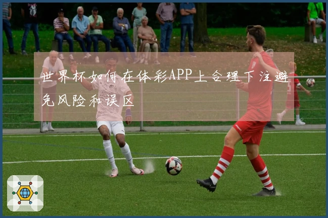 世界杯如何在体彩APP上合理下注避免风险和误区