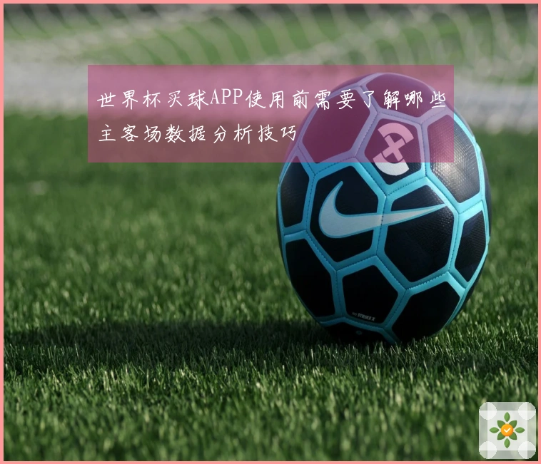 世界杯买球APP使用前需要了解哪些主客场数据分析技巧