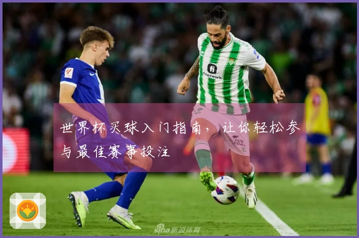 世界杯买球入门指南，让你轻松参与最佳赛事投注