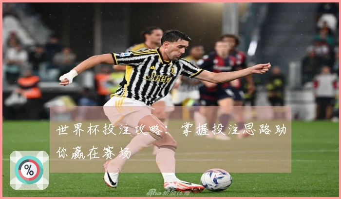 世界杯投注攻略：掌握投注思路助你赢在赛场