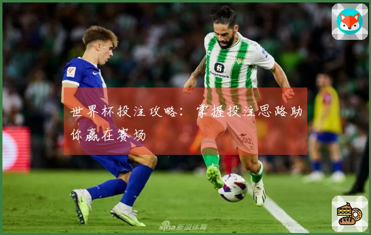 世界杯投注攻略：掌握投注思路助你赢在赛场