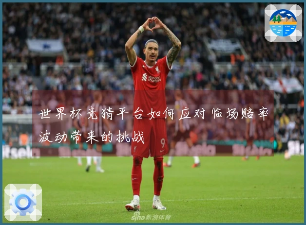 世界杯竞猜平台如何应对临场赔率波动带来的挑战