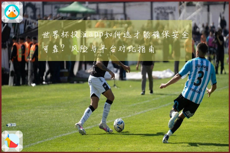 世界杯投注app如何选才能确保安全可靠？风险与平台对比指南