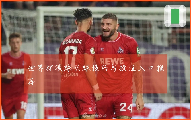 世界杯滚球买球技巧与投注入口推荐