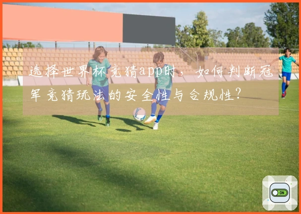 选择世界杯竞猜app时，如何判断冠军竞猜玩法的安全性与合规性？