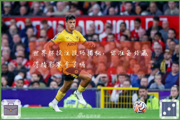 世界杯投注技巧揭秘，你准备好赢得精彩赛季了吗