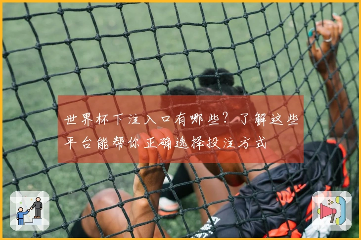 世界杯下注入口有哪些？了解这些平台能帮你正确选择投注方式