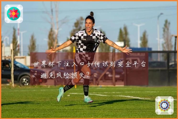 世界杯下注入口如何识别安全平台，避免风险损失？