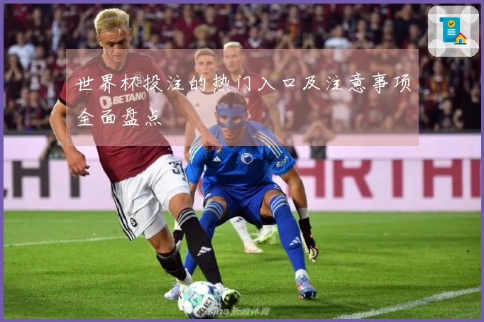 世界杯投注的热门入口及注意事项全面盘点