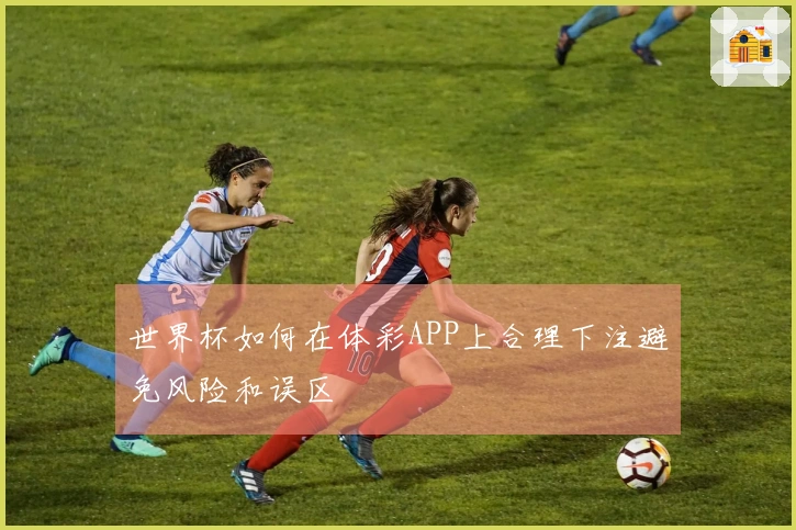 世界杯如何在体彩APP上合理下注避免风险和误区