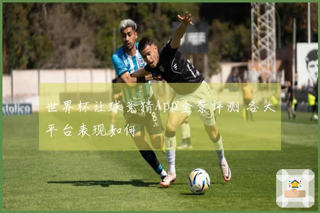 世界杯让球竞猜App全景评测 各大平台表现如何