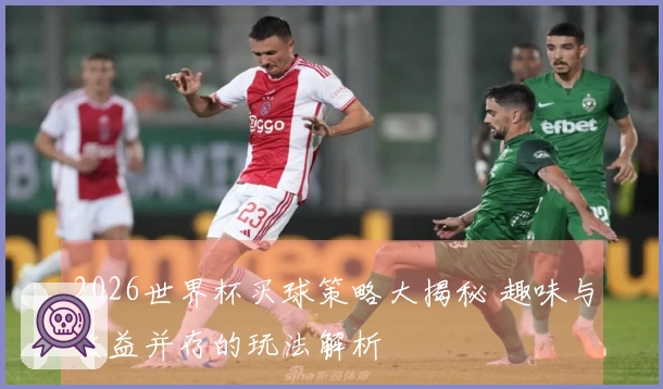 2026世界杯买球策略大揭秘 趣味与收益并存的玩法解析