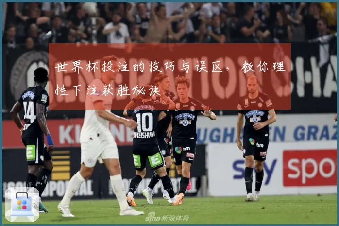 世界杯投注的技巧与误区，教你理性下注获胜秘诀