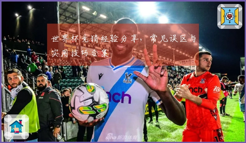 世界杯竞猜经验分享，常见误区与实用技巧合集