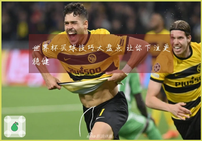 世界杯买球技巧大盘点 让你下注更稳健