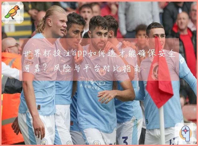 世界杯投注app如何选才能确保安全可靠？风险与平台对比指南