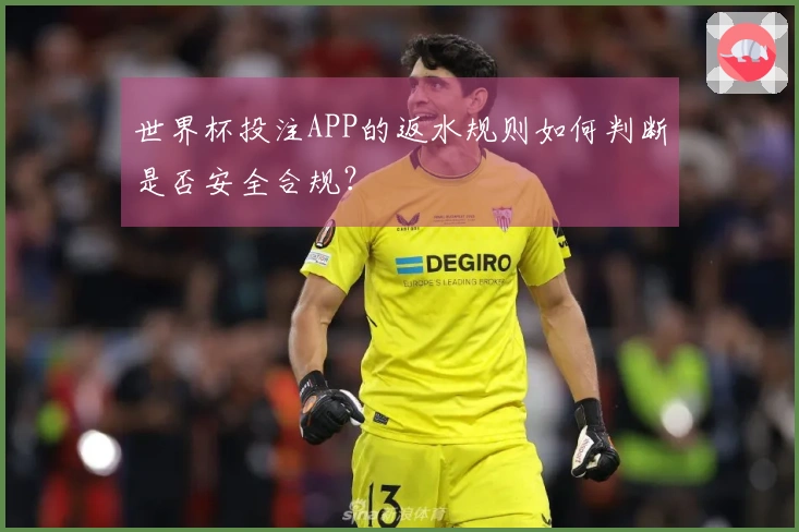 世界杯投注APP的返水规则如何判断是否安全合规？