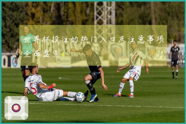 世界杯投注的热门入口及注意事项全面盘点