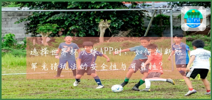 选择世界杯买球APP时，如何判断冠军竞猜玩法的安全性与可靠性？