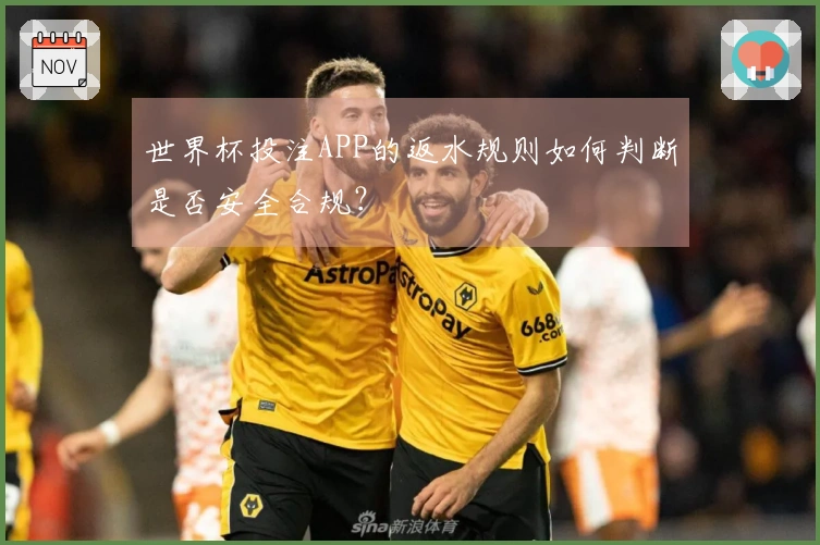世界杯投注APP的返水规则如何判断是否安全合规？