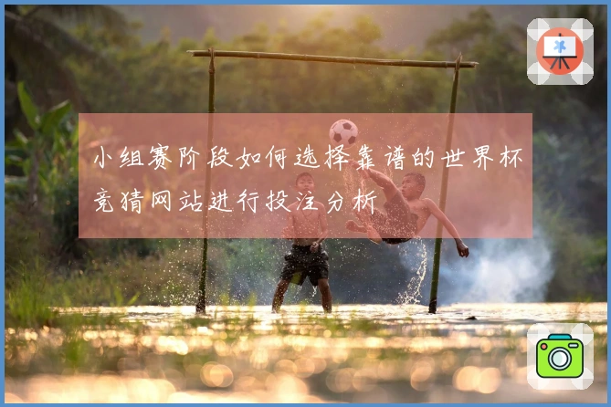 小组赛阶段如何选择靠谱的世界杯竞猜网站进行投注分析