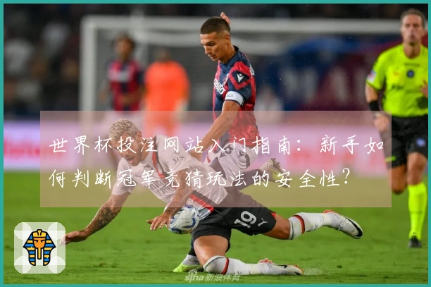 世界杯投注网站入门指南：新手如何判断冠军竞猜玩法的安全性？