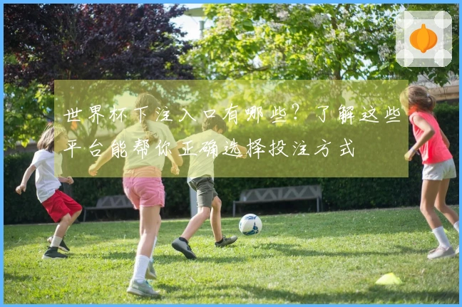 世界杯下注入口有哪些？了解这些平台能帮你正确选择投注方式